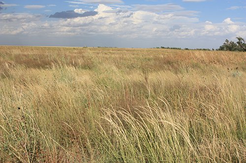 Property photo 3 - LAND AUCTION, 3255+/- Acres offered in 13 Tracts